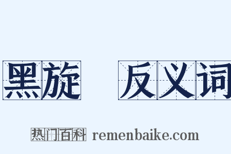 黑旋風反义词是什么意思的图片